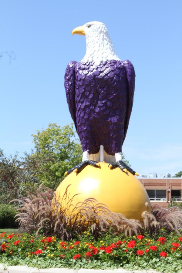 Old Abe, the giant eagle, sits in front of the Recreation Center, surrounded by bricks dedicated to alumni athletes.