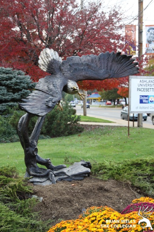 New eagle lands on Claremont