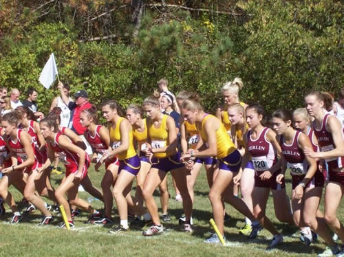 The AU cross country teams competed at 2010 NCAA Division II Midwest Regional Cross Country Championships.