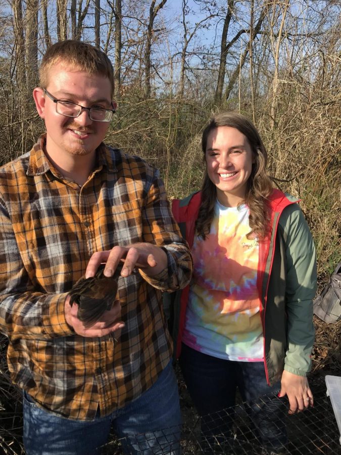 AU students work with Rail birds at the Black Fork Wetlands as apart of classes that enhance their learning experience. Professor Merrill Tawse has researched these rail birds for a few years, which are on the watch list for endangered species.