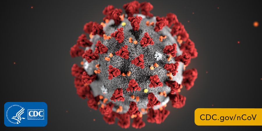 Coronavirus scare around the world