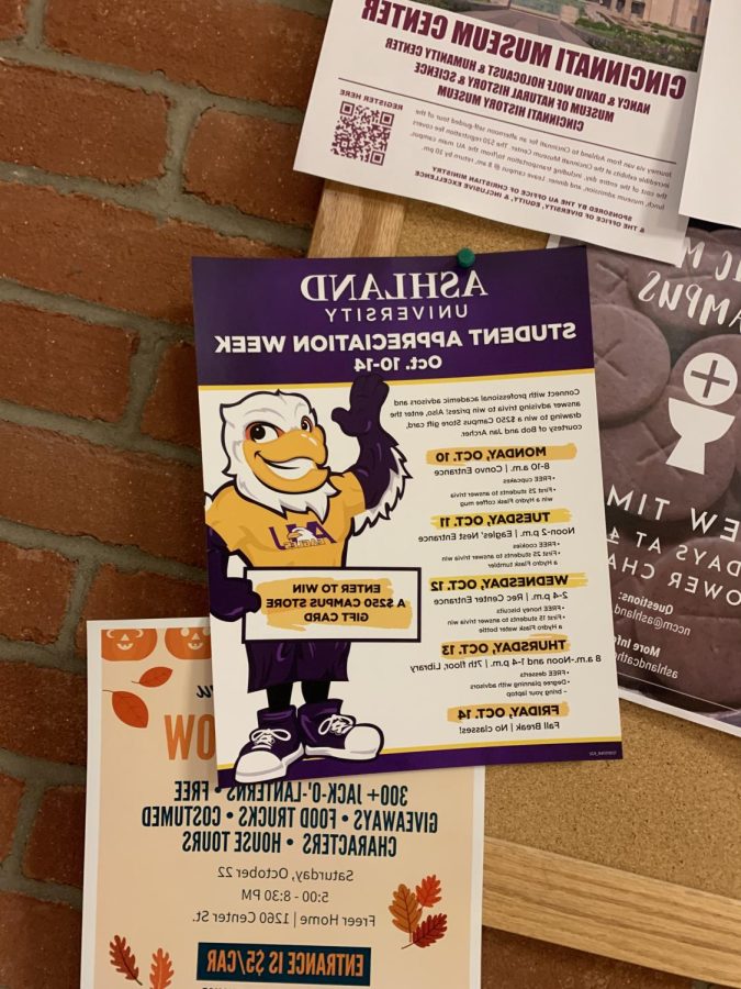 A picture of the flyers posted around campus and events to look out for.