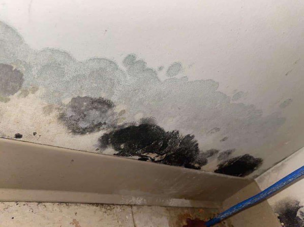 Mold in the senior apartments