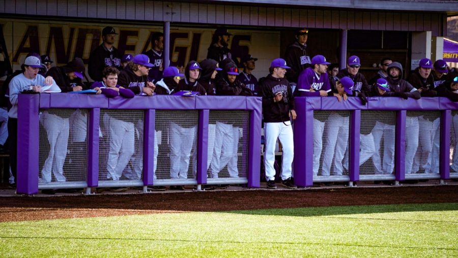 The Eagle dugout looks on during a contest at home.
