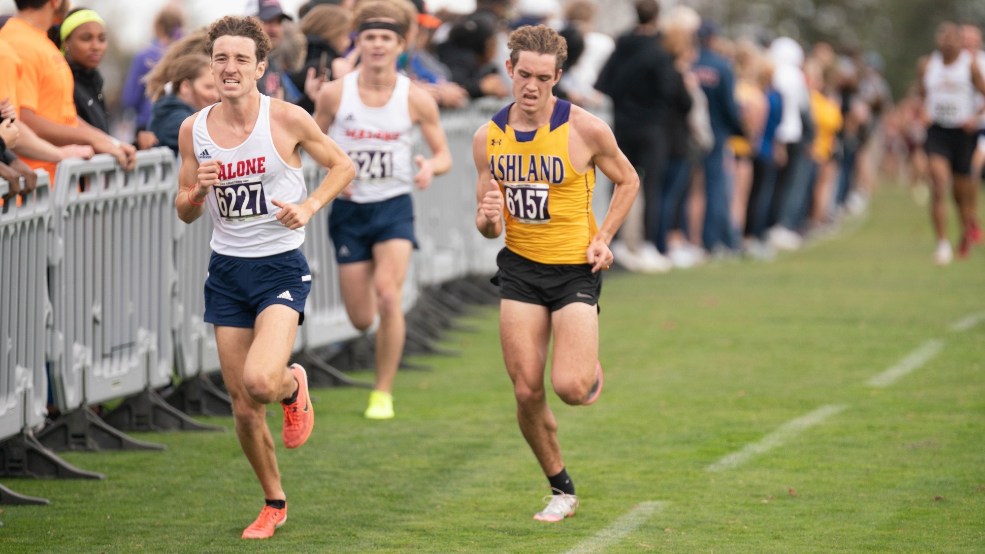 Michael Snopik Leads the Way for Eagle Cross Country at GMAC