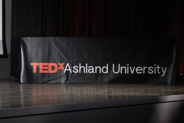 AUs TEDx banner that was hung on campus for the event.