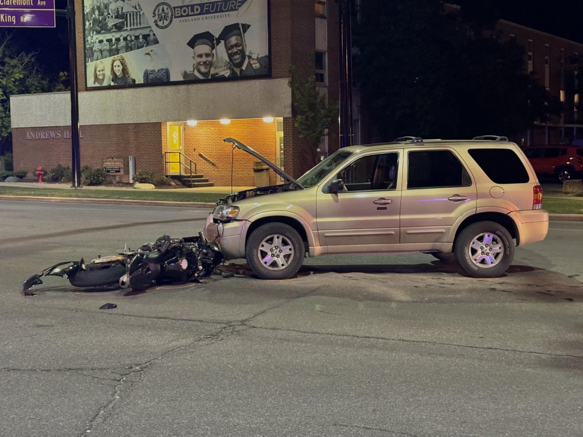 The vehicles were inspected by the police 20 minutes after the crash. The vehicles involved can be seen above.