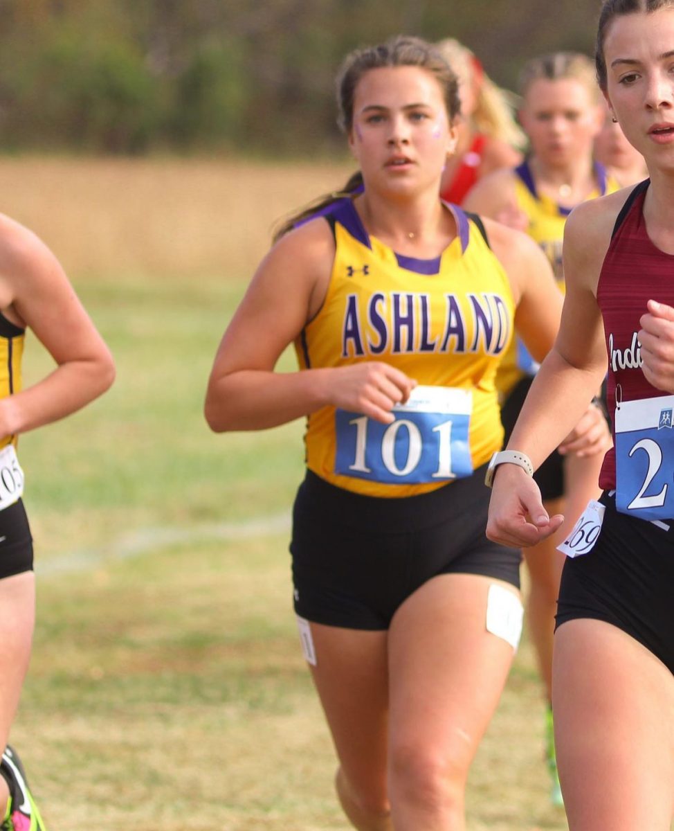 Eagle cross country prepares to begin competing in the coming weeks.