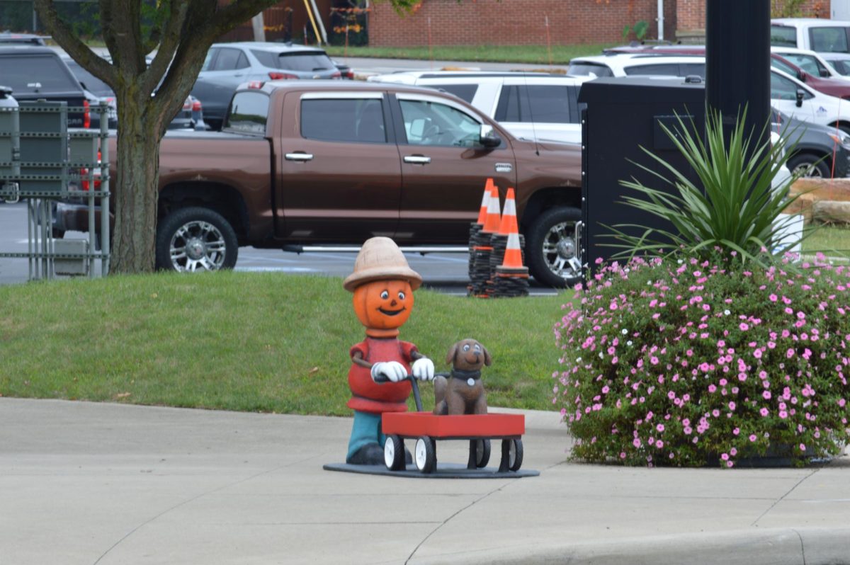 The pumpkins scattered around Downtown Ashand, Ohio.