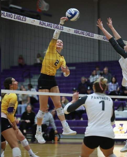 Eagles Samantha Young spiking the ball over the net.